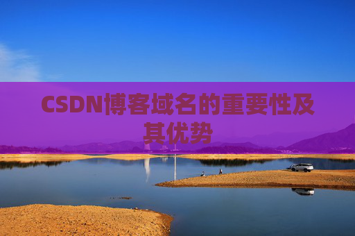 CSDN博客域名的重要性及其优势